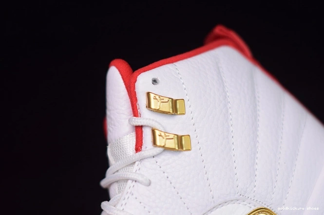 (2019) Air Jordan 130690-107 12 